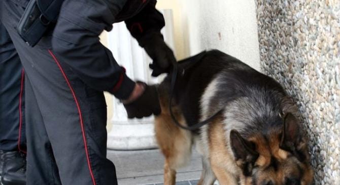 Era ai domiciliari ma continuava a spacciare: arrestato 22enne Era ai domiciliari ma continuava a spacciare: arrestato 22enne