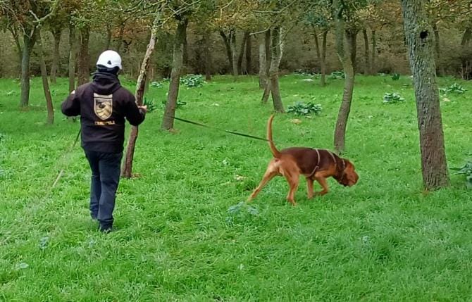 Trovato il corpo di Vito Fusillo, l’84enne scomparso a Noci