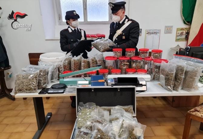 Bari, in casa quasi 12 kg di marijuana
