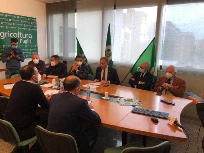 Politica agricola comunitaria, Paolicelli: «Basta divario Nord-Sud. Patuanelli ascolti istanze pugliesi»