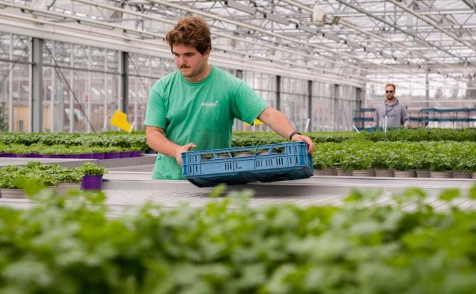 L’agricoltura in svendita. Sud penalizzato con la logica della produttività L’agricoltura in svendita. Sud penalizzato con la logica della produttività