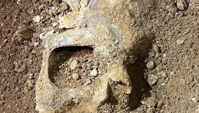 Fasano, trovato teschio nella “Grave degli appestati”