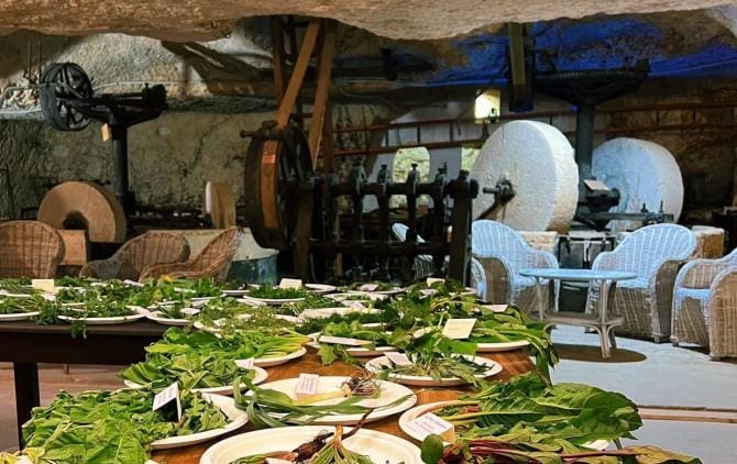 Puglia, sold out negli agriturismi. Stretta frontiere scoraggia viaggi all’estero