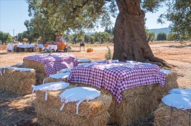 Capodanno: fatturato dimezzato causa Covid. Rischio chiusura per il 60% degli agriturismi in Puglia