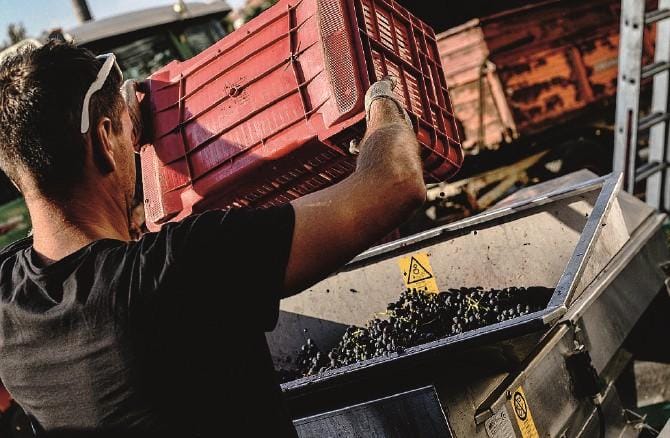 «L’agricoltura è in forte crisi perché non si fa squadra»