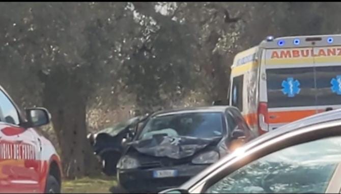 Francavilla Fontana, contro un albero a seguito di un tamponamento: morto un 59enne