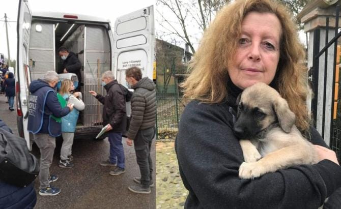 Morte volontari animalisti sulla A14: 2 anni e 3 mesi per il camionista di Recale