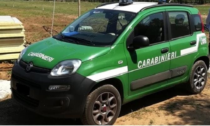 Fasano, un’autodemolizione e alcune abitazioni su un’area protetta: sequestrati 19mila metri quadrati Fasano, un’autodemolizione e alcune abitazioni su un’area protetta: sequestrati 19mila metri quadrati