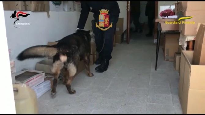 Operazione “Alto impatto”, 7 arresti nel foggiano. Catturato un 40enne ricercato da un anno – VIDEO