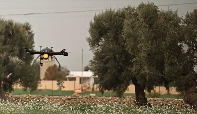 Xylella, intesa tra distretto tecnologico aerospaziale e produttori olivicoli
