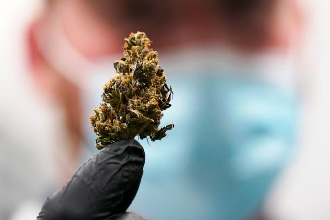 Bari, in viaggio con 25 kg cannabis senza patente e assicurazione