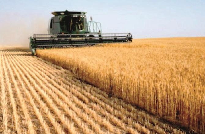 Grano fermo in Russia «Si rischia il collasso»