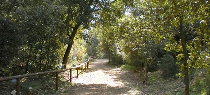 Puglia, tre giorni di formazione sul campo per le imprese boschive a Mercadante e nella foresta Umbra