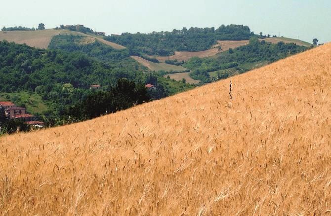 La guerra in Ucraina mette a rischio la ripresa economica