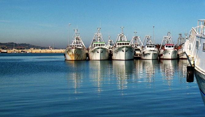 Pesca, nuovo stop per 7 giorni dalle Marche alla Puglia. Imbarcazioni ferme in porto