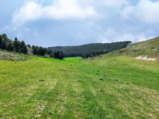 Parchi per il clima: dal Mite oltre 3 milioni di euro per i progetti del Parco dell’Alta Murgia
