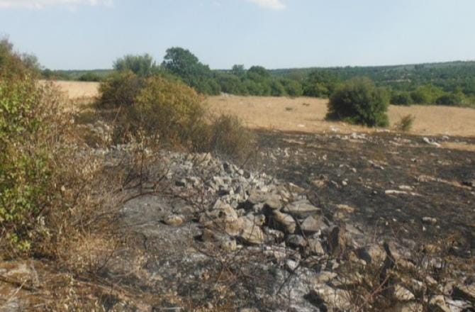 Antincendio boschivo, in Puglia nasce la task force interistituzionale. Emiliano: «Tra i primi in Italia»