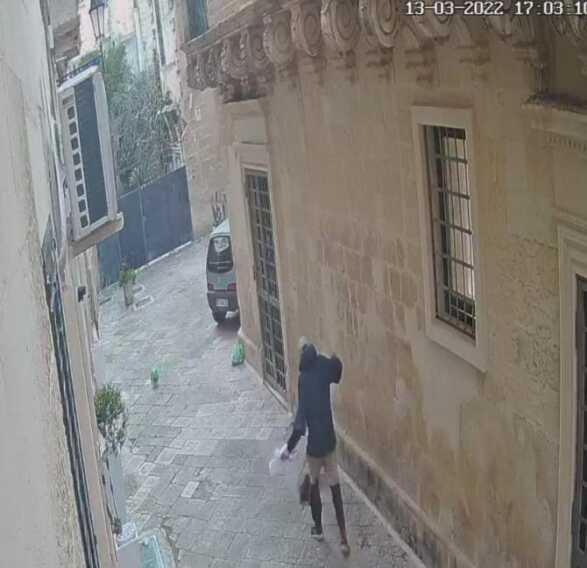 Lecce, fermato il presunto responsabile dell’uccisione del gatto nel centro storico
