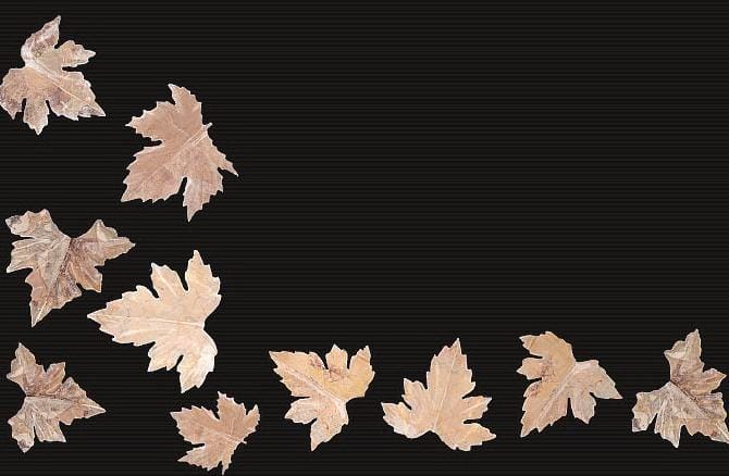 Bari, in mostra “Les feuilles mortes. Opera di Pantaleo Avellis”