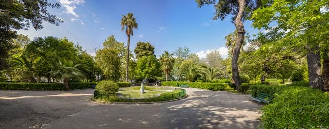 Taranto “Città più verde di Puglia” con 96 alberi per 100 abitanti, ultima Foggia