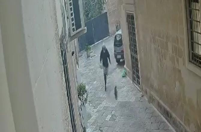 Lecce, accompagnato alla frontiera il 40enne sloveno che ha ucciso a calci un gatto