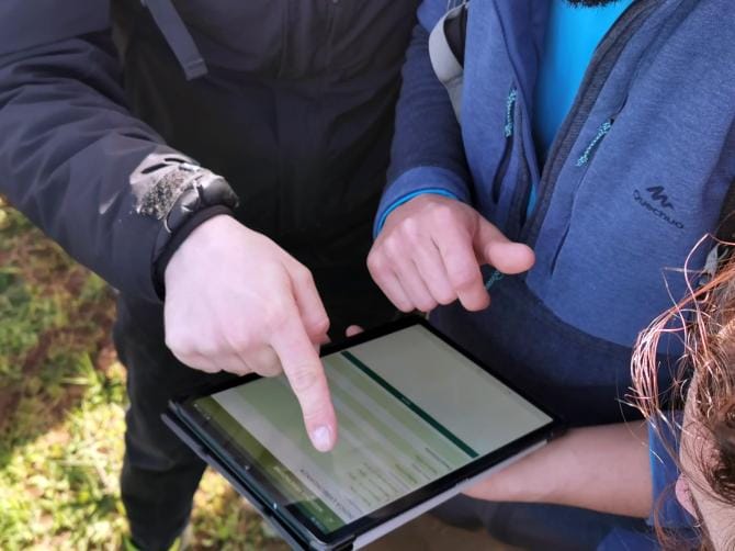 Parco Alta Murgia: in fase di testing la prima applicazione per monitorare gli insetti impollinatori
