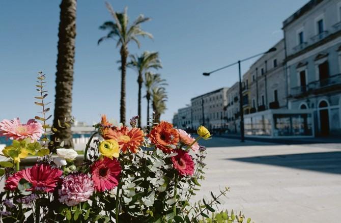 Parte la nuova edizione di “Brindisi in fiore” Cittadini e negozianti abbelliscono la città