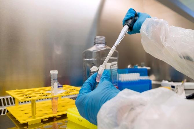 Genetica, è italiano il primo studio completo sulle malattie rare “Pros”. A coordinarlo l’Università di Bari