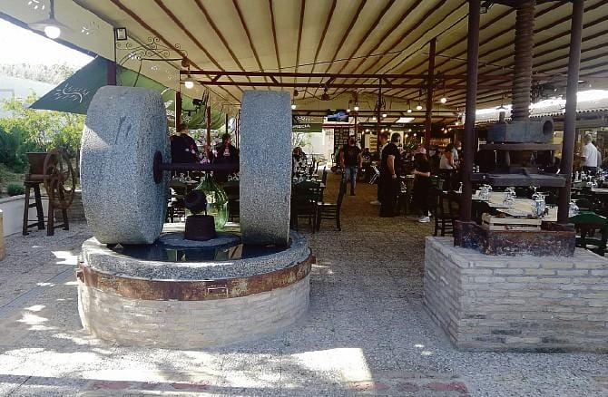 Una missione di olivicoltori della Collina Materana in Grecia: scambio di esperienze per un olio di qualità