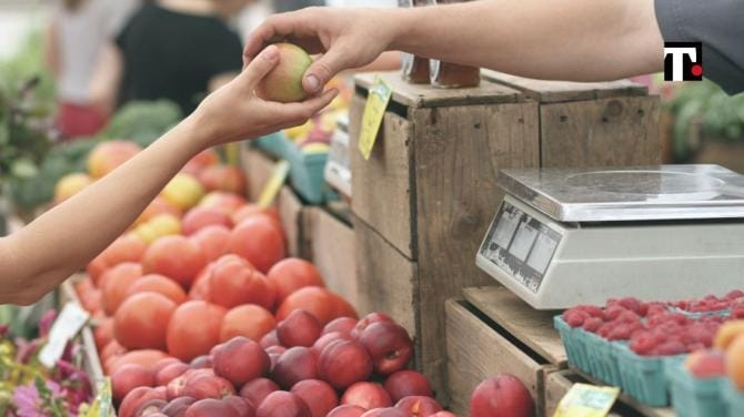 Storie di un Fantagronomo: una lezione ai politici su cibo e agricoltura