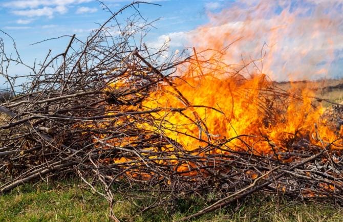 Brindisi, a fuoco sterpaglie e alberi.  Tenta di spegnere l’incendio: muore 94enne