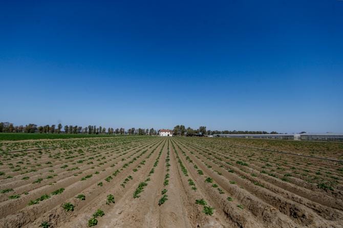 Cia Basilicata: «No all’aumento dei canoni di bonifica e irrigui»
