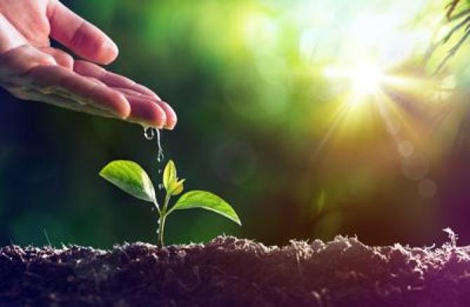 Syngenta, agricoltura biologica oggetto grandi investimenti aziendali in R&S