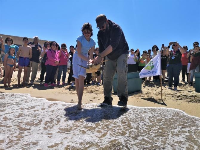 Baci e Kikka tornano in mare a Torre Guaceto: le tartarughe salvate da una famiglia e da una cagnolina | VIDEO