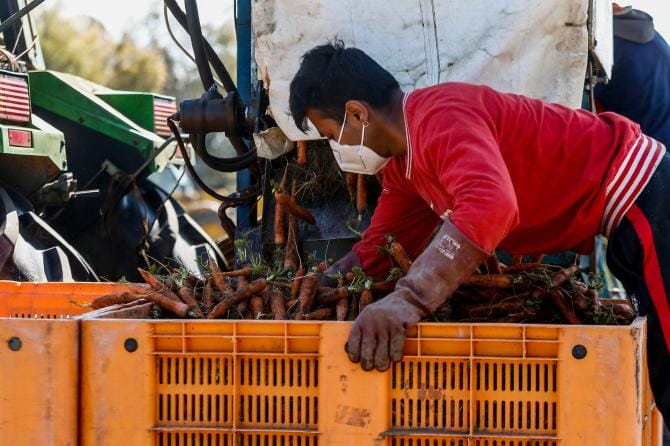Imprese, manca manodopera. Cgil Puglia: «Colpa di sfruttamento e bassi salari»