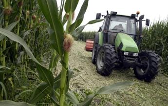 Basilicata, un aiuto straordinario di 7 milioni di euro per le imprese agricole