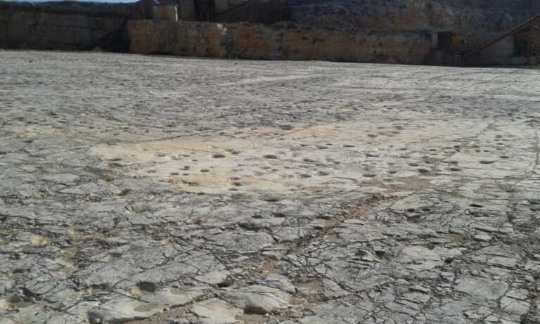 Altamura, riapre ai turisti la Cava dei Dinosauri. Messa in sicurezza, si visita da giugno a ottobre