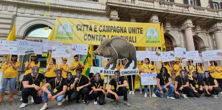 Cinghiali, Coldiretti: «In Puglia ce ne sono 250mila. Provocano più di un incidente ogni 2 giorni»