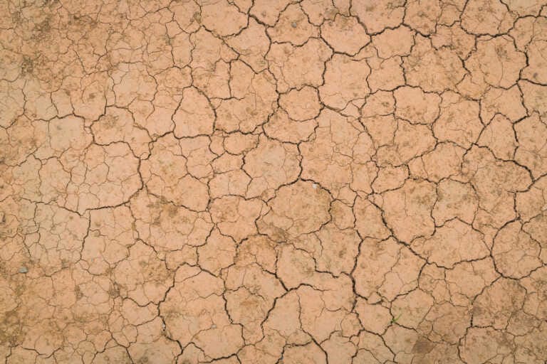 Puglia, la minaccia della siccità: 57mln metri cubi di acqua in meno negli invasi