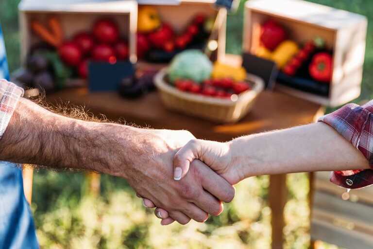 Eit Food Feel Local, il progetto per l’empowerment della filiera corta: i questionari promossi da UniBa