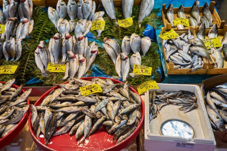Pesca, persi 200 mln di fatturato per caro gasolio. Prodotti di stagione aumentano del 30%