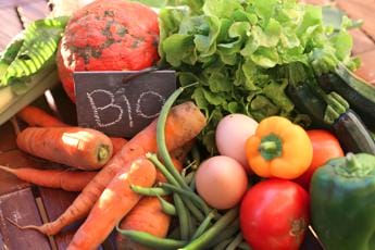 Forte aumento acquisti frutta e verdura con il caldo, grande attenzione per ‘bio’