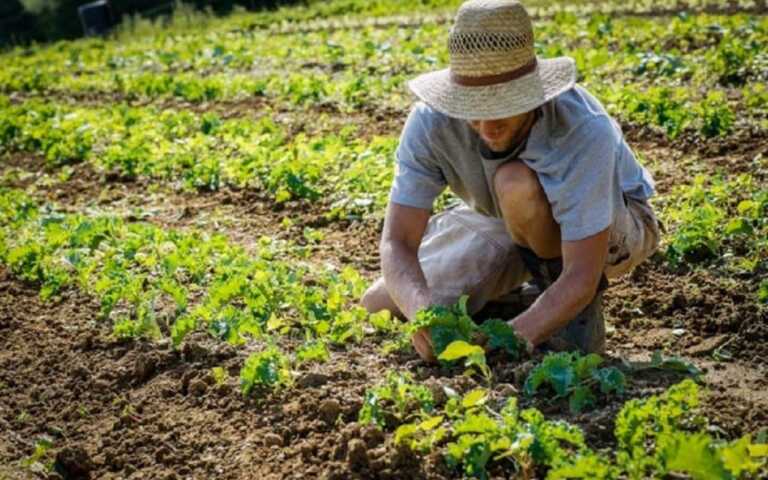 Pensionato-agricoltore morto a Vietri. Cia: «Si chiude un anno tragico per le vittime sui mezzi agricoli»