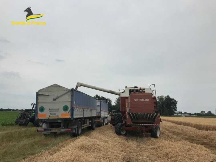 Contrasto alla “pirateria” del grano: cinque denunce e oltre 100 tonnellate sequestrate anche in Puglia e Basilicata