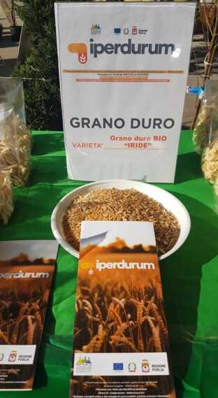 Iperdurum: il super-grano e la pasta super-proteica al 100% “made in Puglia”