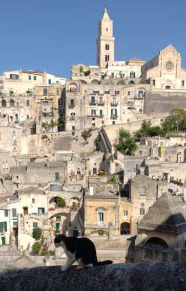 Matera nominata tra i “territori di affermata tradizione ceramica”