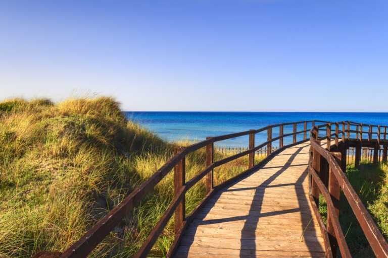 Tutela della biodiversità: il progetto “Best” arriva nel Parco naturale delle Dune Costiere, nel Brindisino