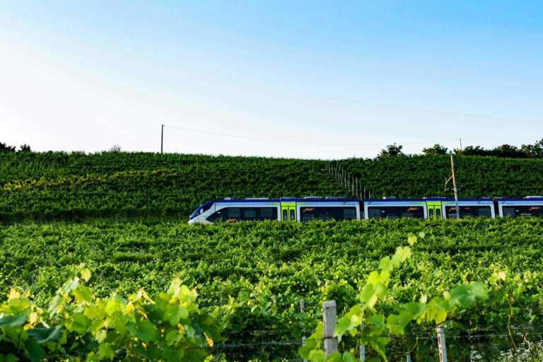 Treni regionali a metà prezzo per la giornata mondiale dell’ambiente: il 5 giugno 50% di sconto sugli acquisti online