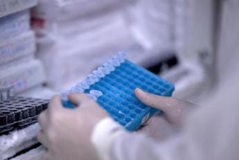 Galleria foto 'Vaiolo delle scimmie, Nobel Medicina Semenza: “No allarme, scudo vaccini funziona”' - foto 1