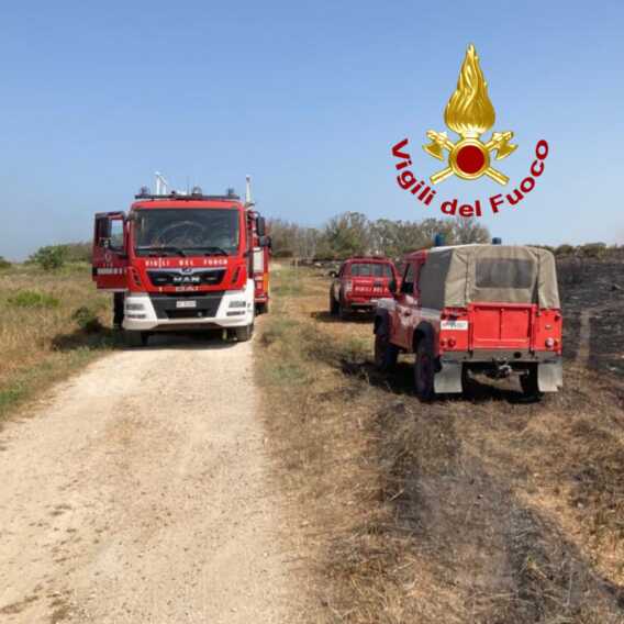 Ugento, incendio vicino parco naturale: in fumo 5 ettari di pineta